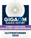 GigaOm Badge 2023_Outperformer-02
